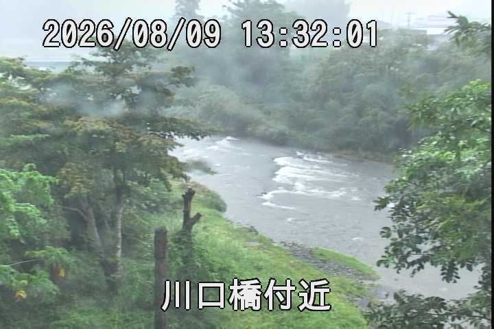 �J�����摜